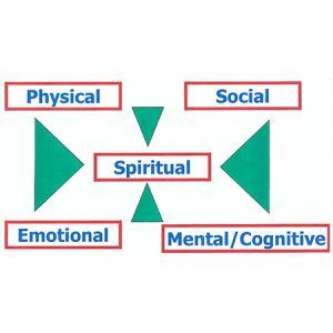 Physical, Social, Spritual, Emotional, Mental/Cognitive