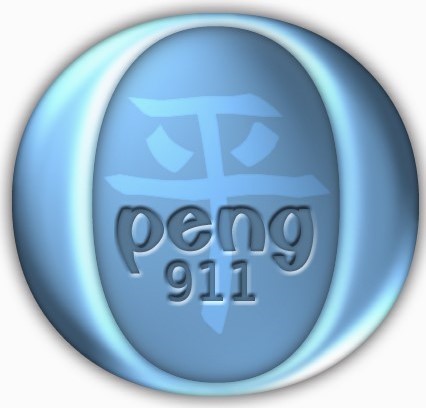 PENG911 - LOGO